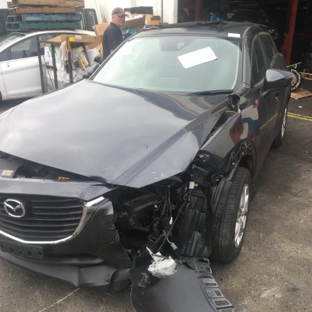 Right Front Window Reg/Motor