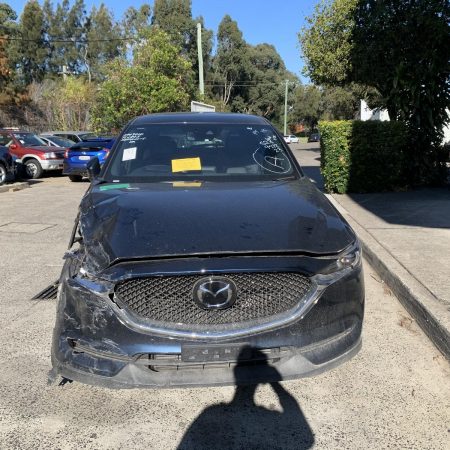 Right Front Window Reg/Motor