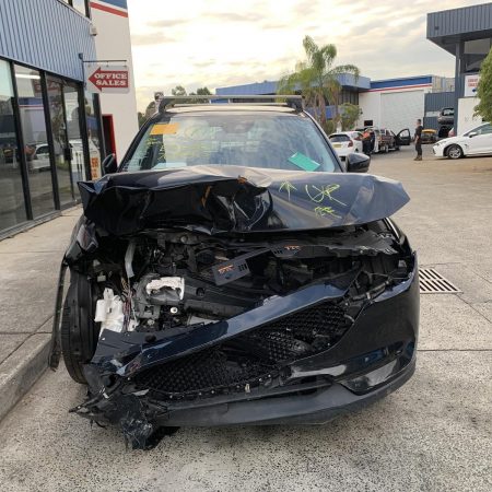 Right Front Window Reg/Motor