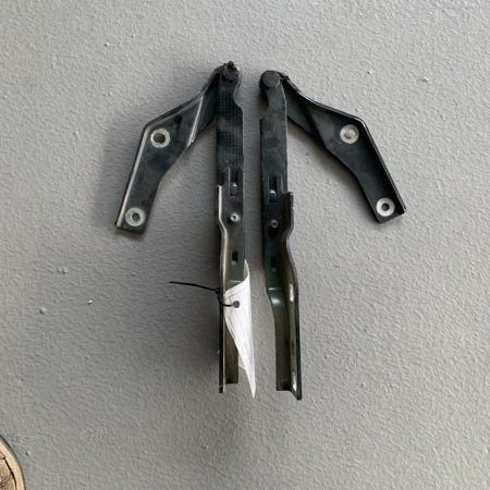 Bonnet Hinge/Strut